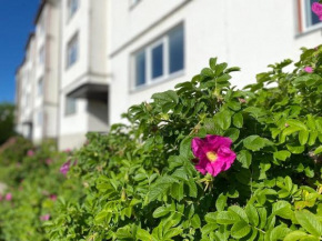 APARTMENT AiA